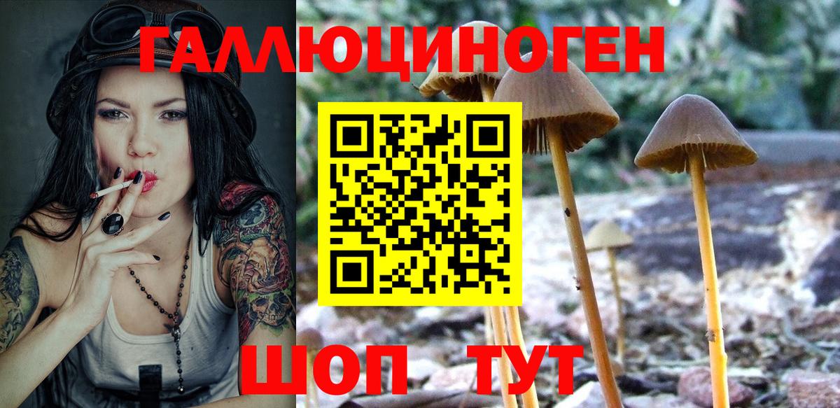 Галлюциногенные грибы мухоморы  Вход с VPN  купить закладку  Псилоцибиновые грибы прущие грибы  Ртищево 